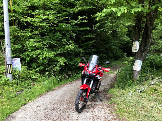 画像: 久々の林道探索。ノドは渇いたが大満足!