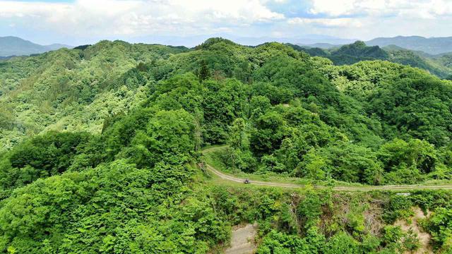 画像: 気持ちのいい尾根道。オフロードバイクだから楽しめる景色。