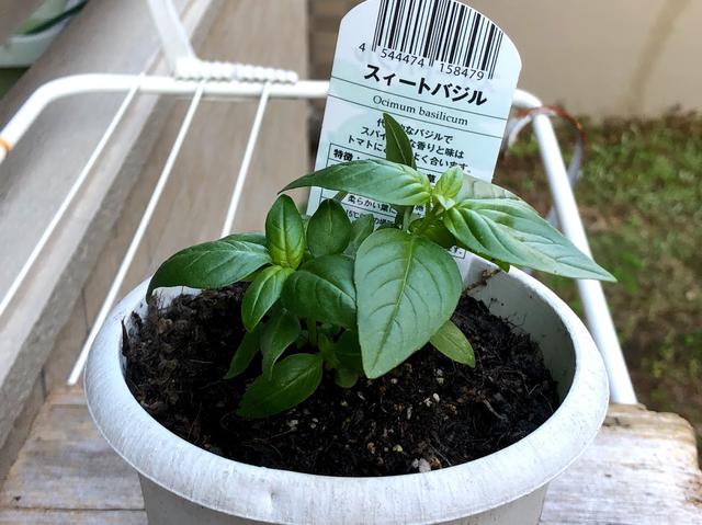 画像: さらなるキャンプ飯のために準備も大事