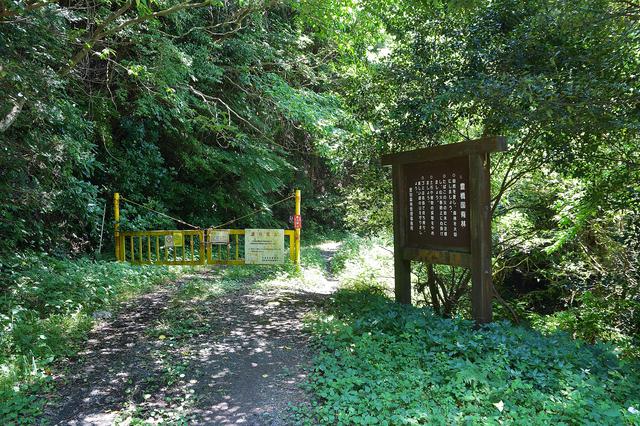 画像4: いざゆかん林道へ