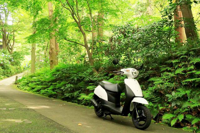 画像: スズキ「レッツ」総排気量:49cc(原付一種)