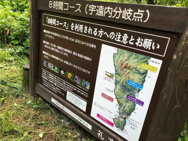 画像: ドヨーン。