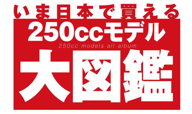 画像3: 最新の250ccバイクを徹底網羅! いま新車で買える軽二輪の情報は「オートバイ 250cc購入ガイド2020」で!