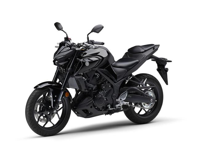 画像10: 見た目だけじゃない! 新型となったヤマハ「MT-25」は走りも大きく変わった!【試乗インプレ・車両解説】(2020年)