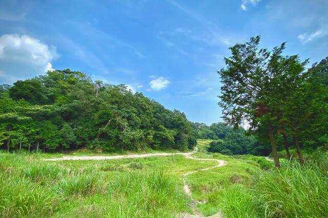 画像: さわやかなフラットダートとか、まさに山って感じの坂とか、可能性無限大な林道コース。登りきれなくて坂を押すのもびじばいぱにっくの醍醐味。辛そうだけど、達成感が楽しいってことでハマる人続出。もちろん初心者向けに、ほぼ押すことのない優しいルート取りも用意してるぞ。押したい人は達人とともに行くが良い。 PHOTO/pi3rr3eさん twitter.com