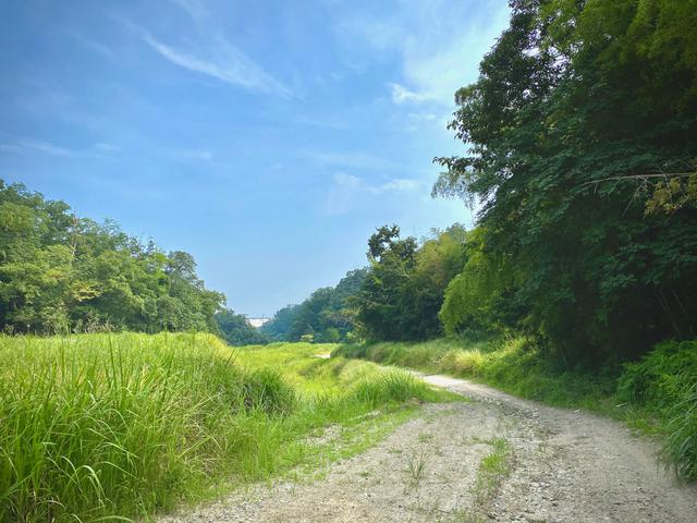 画像11: PHOTO/pi3rr3eさん twitter.com