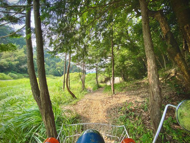 画像14: PHOTO/pi3rr3eさん twitter.com