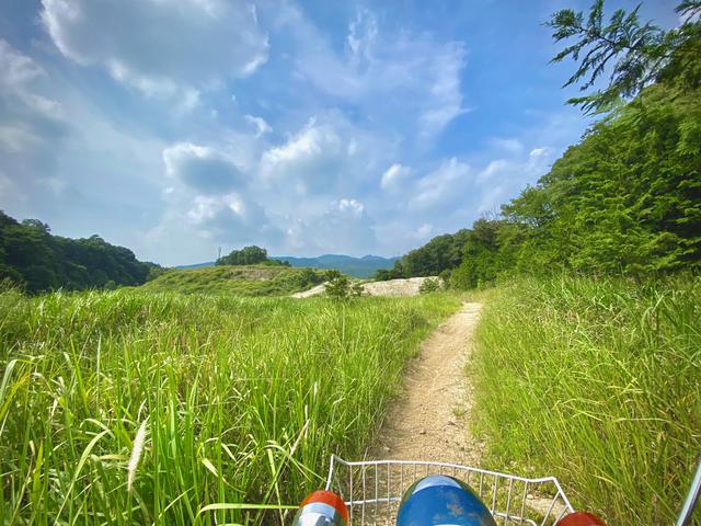 画像10: PHOTO/pi3rr3eさん twitter.com