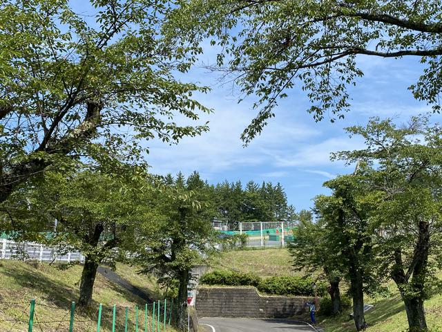 画像: この白い柵や横のガードレールの向こうがコースで囲まれている感じです。