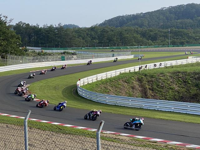 画像: 馬の背コーナーからのSPインコーナー。