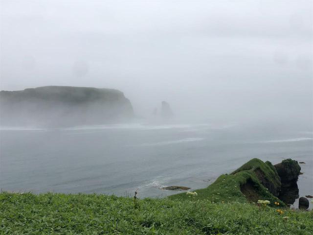画像3: 開き直って霧多布へ。その名の通り霧ダラケ!