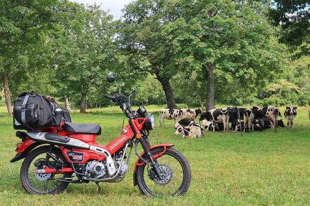 画像: Honda CT125 HUNTER CUB 総排気量:124cc エンジン形式:空冷4ストSOHC単気筒 最高出力:6.5kW(8.8PS)/7000rpm 最大トルク:11N・m(1.1kgf・m)/4500rpm シート高:800mm 発売日:2020年6月26日 メーカー希望小売価格:税込44万円 ※バッグは西野の私物(タナックス「キャンピングシートバッグ2」)