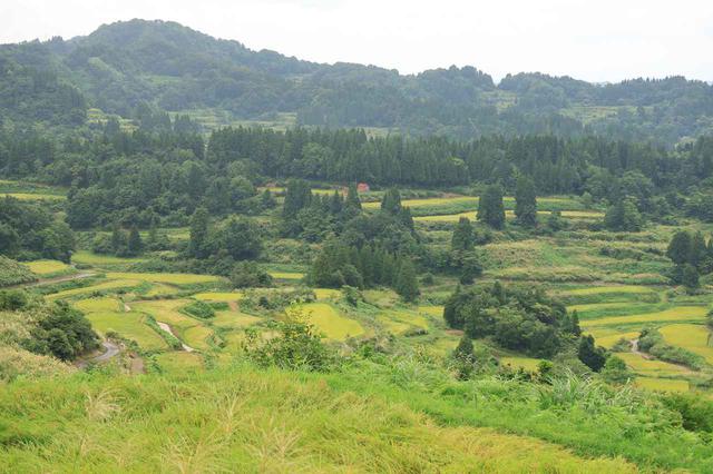 画像2: キャンプ好きの聖地ともいえる「金物の町」へ