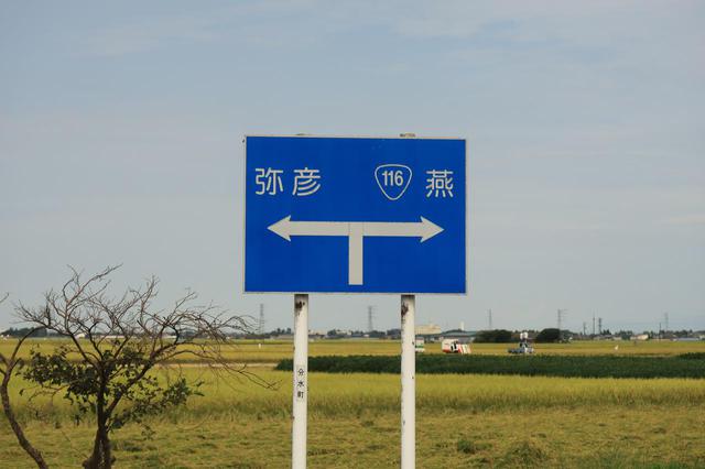 画像: 『そばかす』を聴いていたら、偶然この青看板が現れて驚いた。