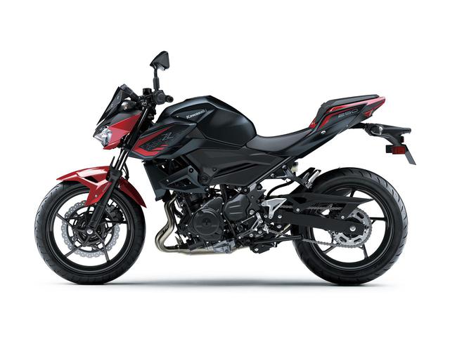 画像5: カワサキが「Z250」の2021年モデルを発売! 2020年モデルと比較してみよう【2021速報】