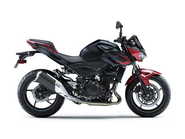 画像6: カワサキが「Z250」の2021年モデルを発売! 2020年モデルと比較してみよう【2021速報】