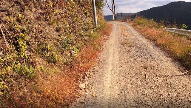 画像: 高いところ嫌いなのよ。割と怖いね。
