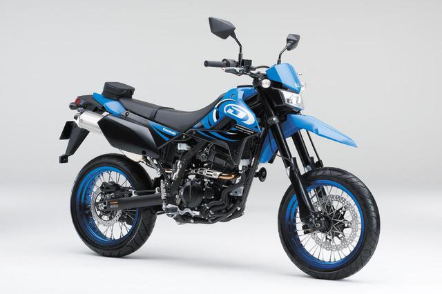 画像: Kawasaki D-TRACKER X Final Edition (日本仕様・2016年)