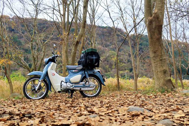 画像1: 【まとめ】スーパーカブC125とCT125・ハンターカブ、キャンプが楽しいのはどっち?