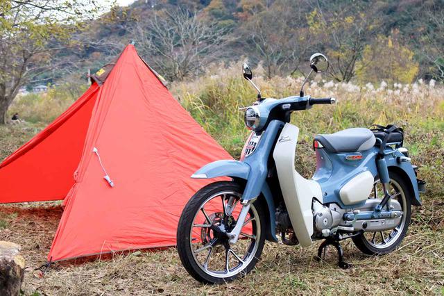画像: ワンポールテント・デビューしました! (就寝時は、もう少し距離を置いて駐めていました)