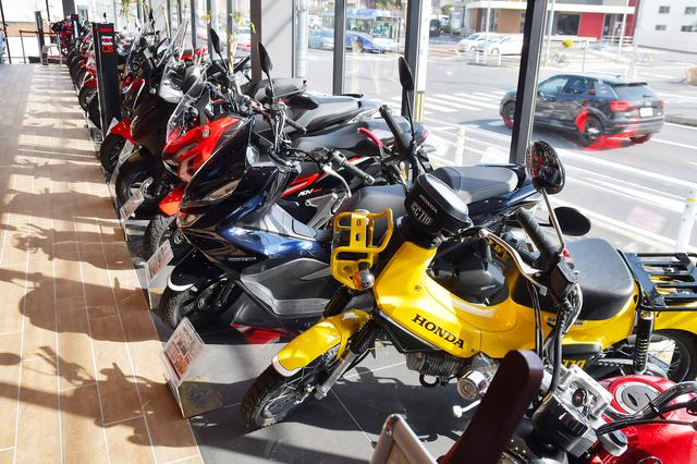 画像: 凄い数の展示車だとおもったら、これ全部試乗車だった。ドリーム名古屋守山店では、常時15台程度用意されてるそうな。凄い。