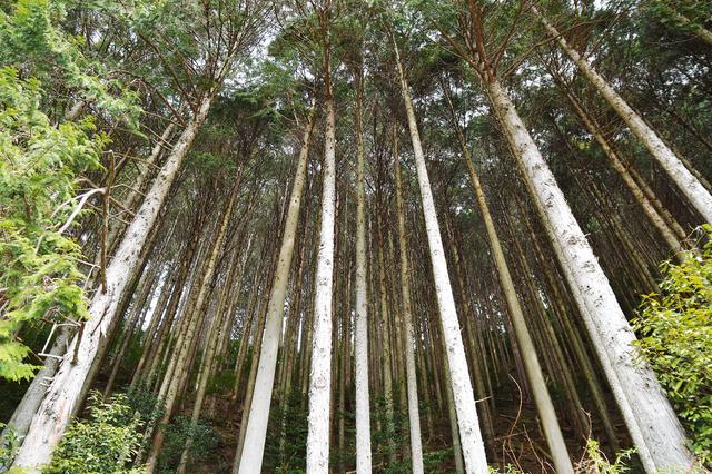 画像2: 俺はまるでラリーストだ!