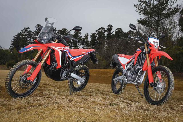 画像: Honda CRF250RALLY (左) 総排気量:249cc エンジン形式:水冷4ストDOHC4バルブ単気筒 シート高:830mm/〈s〉は885mm 車両重量:152kg 発売日:2020年12月17日 メーカー希望小売価格:税込74万1400円 ※(右)はCRF250L(税込59万9500円)