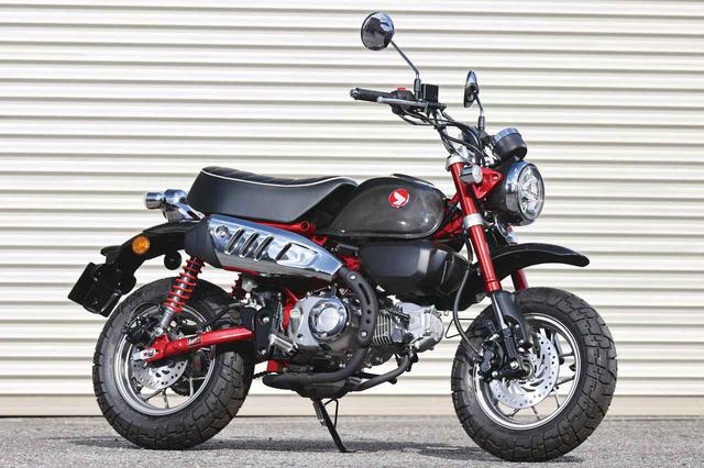 画像: Honda Monkey125 THE CARBON BRED 税込価格:52万5800円