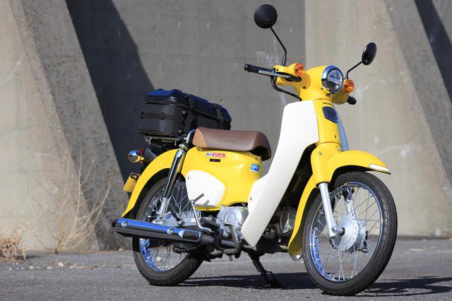 画像: スーパーカブ110とスーパーカブC125&C125・ハンターカブの比較