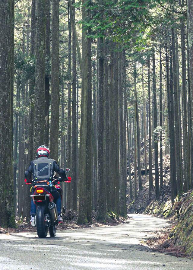 画像4: 試練は続く…なんと山は極寒、道は極細!