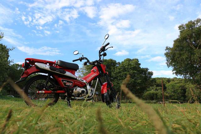 画像: ホンダ「CT125・ハンターカブ」/税込価格:44万円 www.autoby.jp