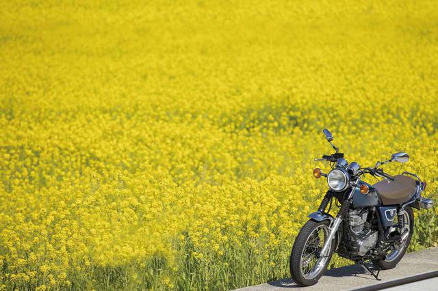 画像1: いつでも逢える、ずっと乗れる 40年以上10万台以上も生産されたSR