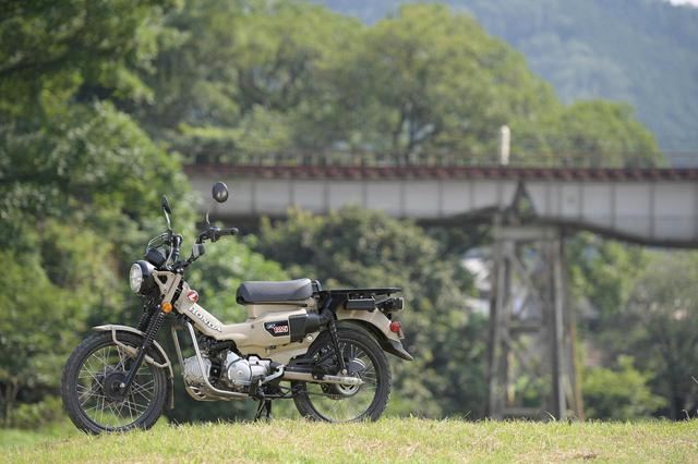 画像: Honda CT125 HUNTER CUB 総排気量:124cc エンジン形式:空冷4ストSOHC単気筒 シート高:800mm 車両重量:120kg 発売日:2020年6月26日 税込価格:44万円