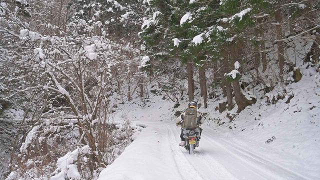 画像7: ホンダ・モンキーバハで雪道を走破せよ!