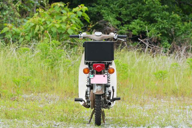 画像5: スーパーカブ90縦置き
