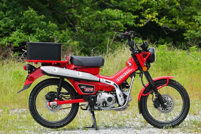 画像4: CT125ハンターカブ縦置き
