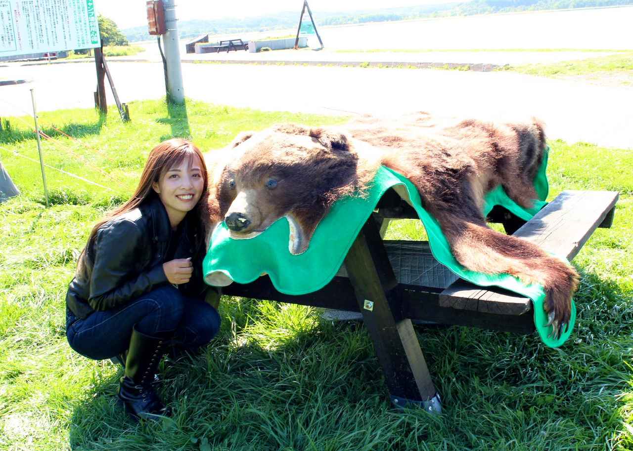 画像2: クッチャロ湖(クッチャロこ) 北海道枝幸郡浜頓別町