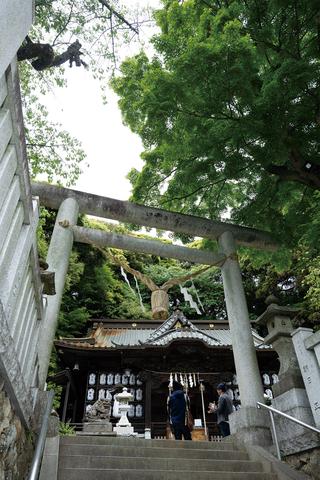 画像15