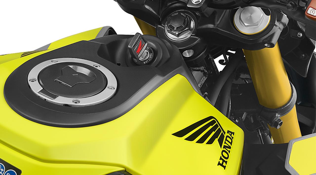 画像15: 【シリーズ最新作!】ホンダ「CB125ホーネット」インドで爆誕!【世界でがんばる!! 日本メーカーの珍車大図鑑 Vol.6】