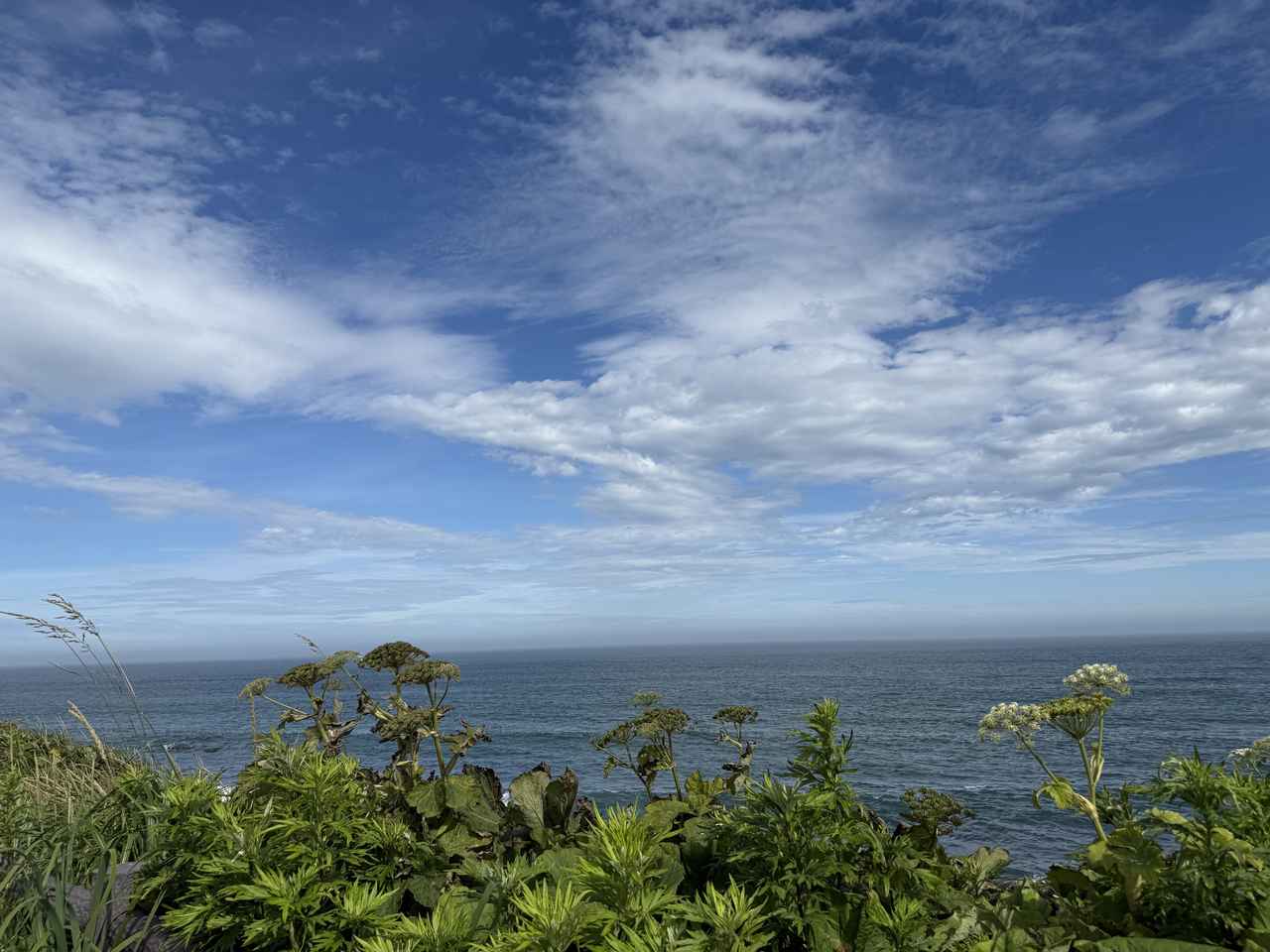 画像12: 本土最東端の納沙布岬へ！ 北海道根室市周辺を満喫してきました【葉月美優のツーリングレポート】