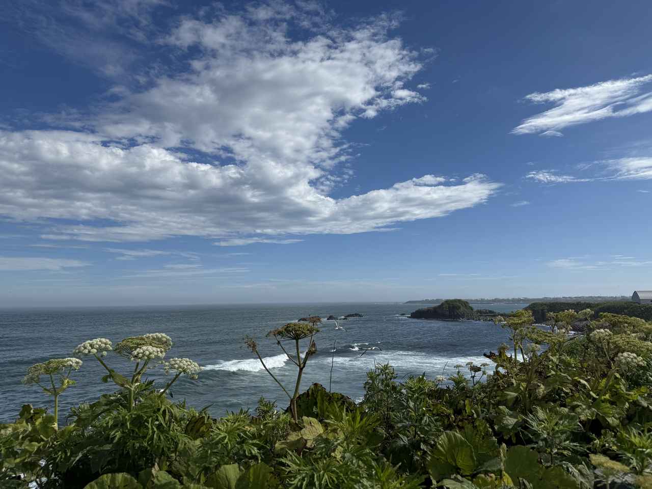 画像13: 本土最東端の納沙布岬へ！ 北海道根室市周辺を満喫してきました【葉月美優のツーリングレポート】
