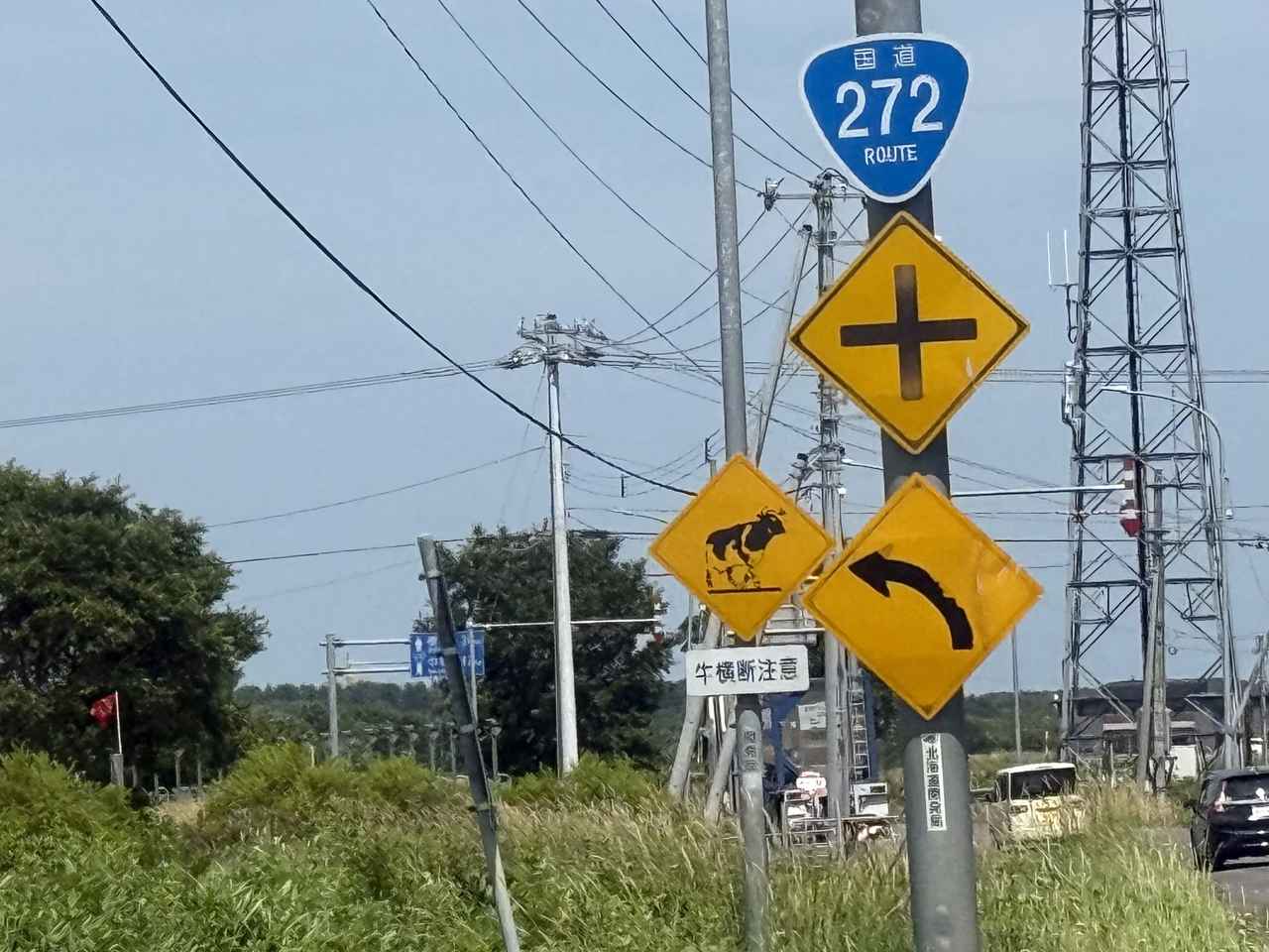 画像18: 北海道の思い出