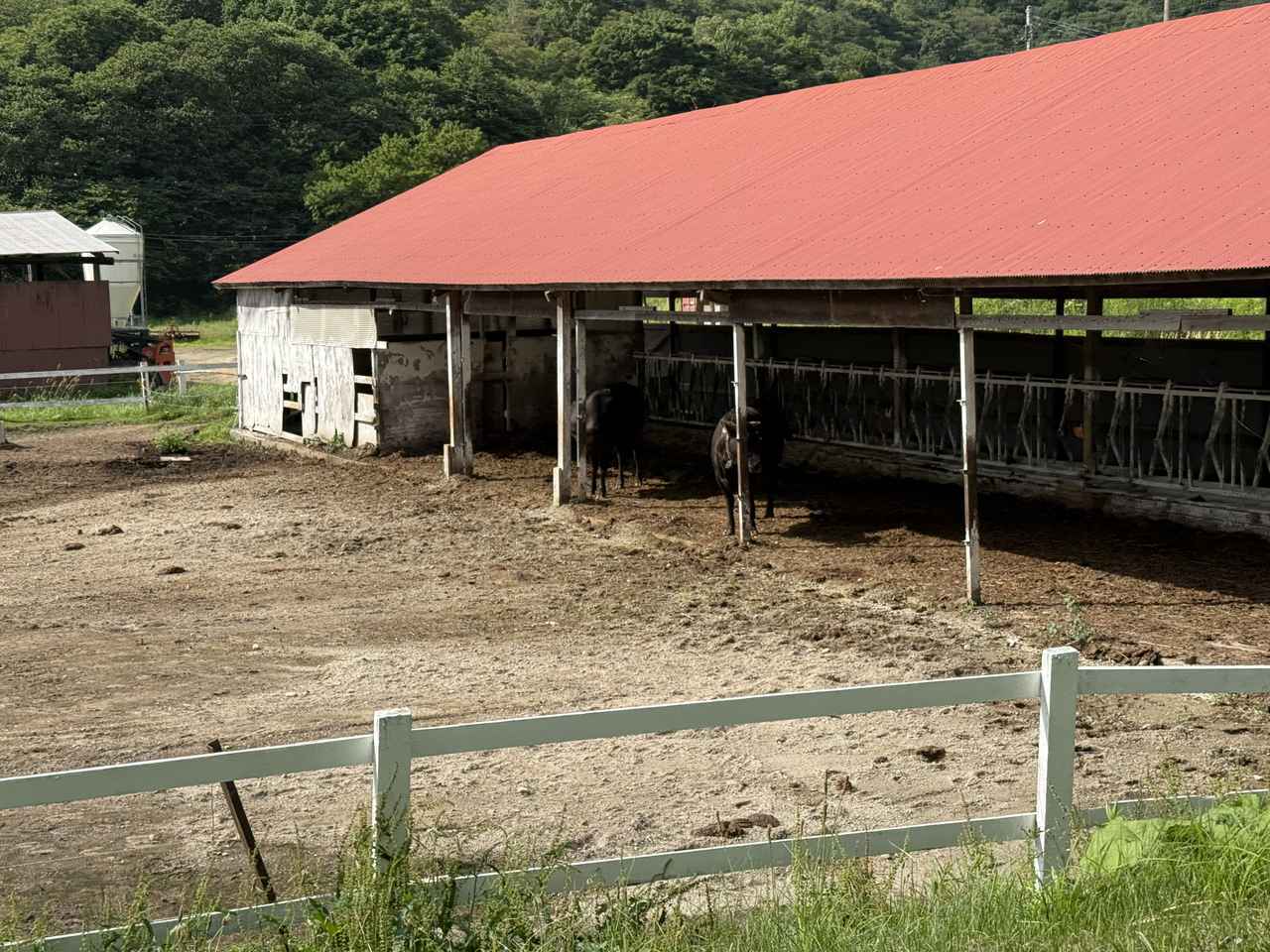 画像22: 北海道ツーリングならではの“怖さ”と“楽しさ”を1日で体験! 襟裳岬に行ってみた【葉月美優のツーリングレポート】