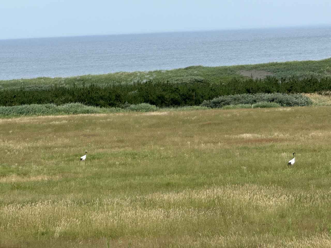 画像6: 北海道ツーリングならではの“怖さ”と“楽しさ”を1日で体験! 襟裳岬に行ってみた【葉月美優のツーリングレポート】
