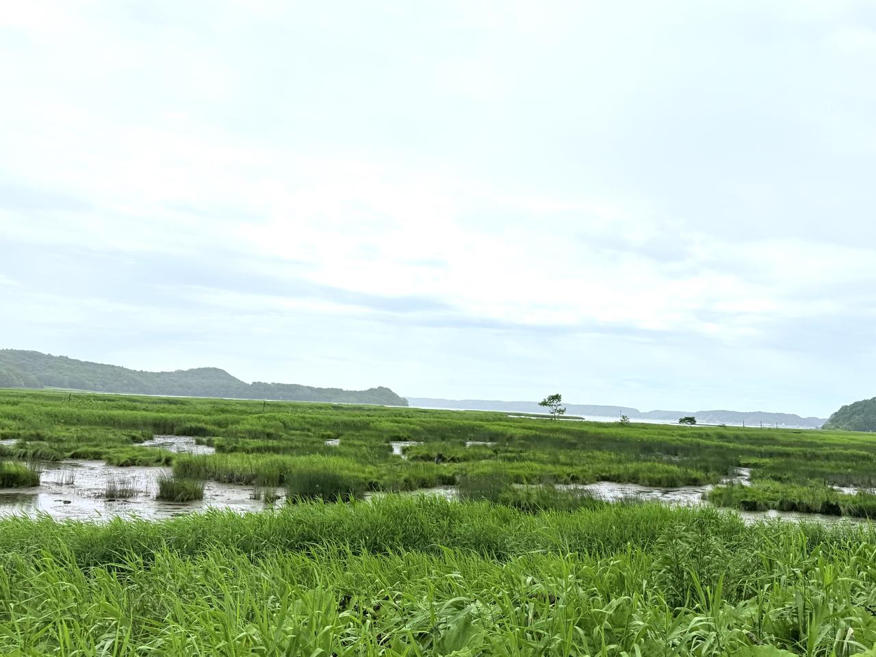 画像17: 北海道ツーリングならではの“怖さ”と“楽しさ”を1日で体験! 襟裳岬に行ってみた【葉月美優のツーリングレポート】