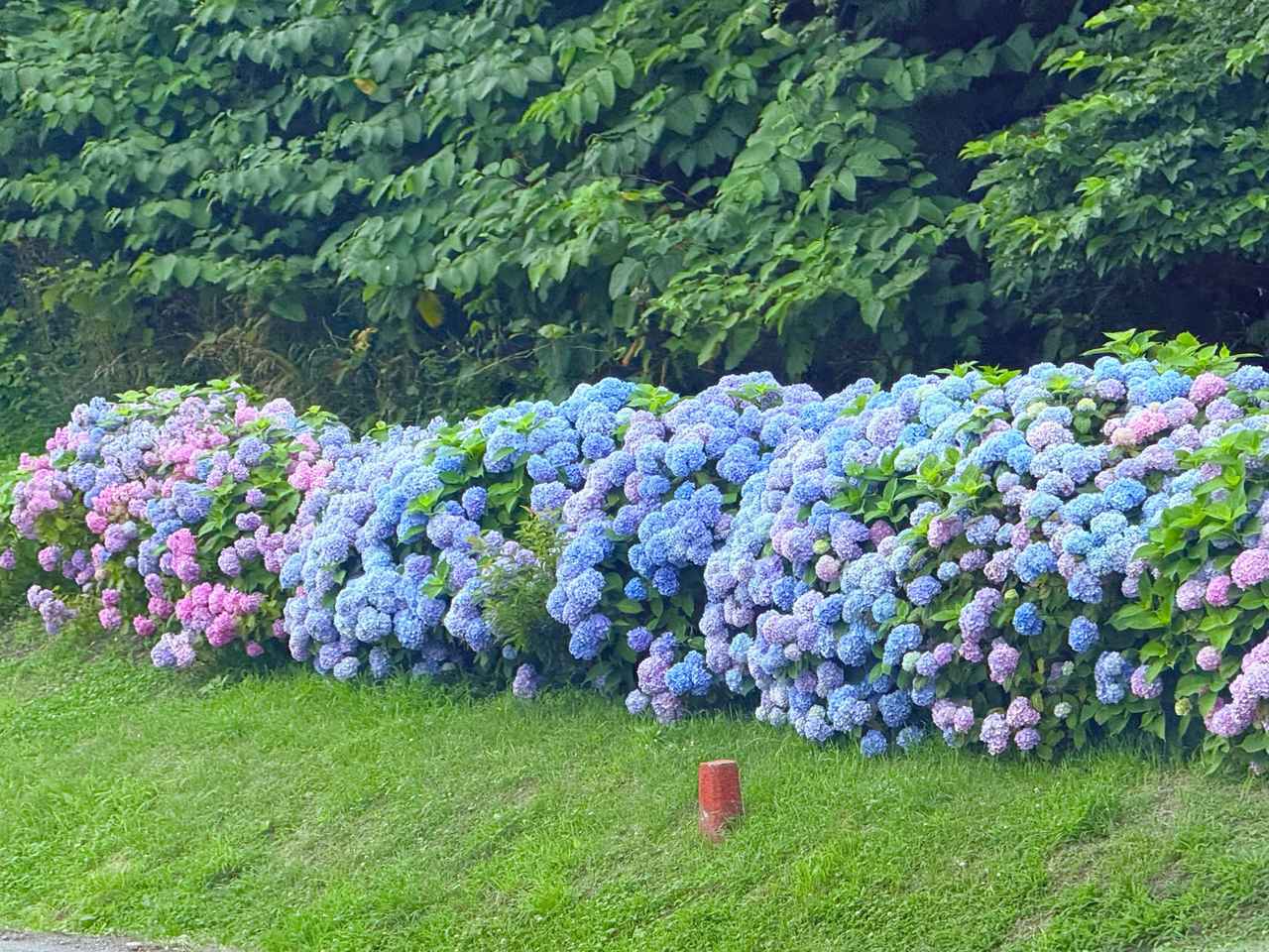 画像20: 北海道ツーリングならではの“怖さ”と“楽しさ”を1日で体験! 襟裳岬に行ってみた【葉月美優のツーリングレポート】