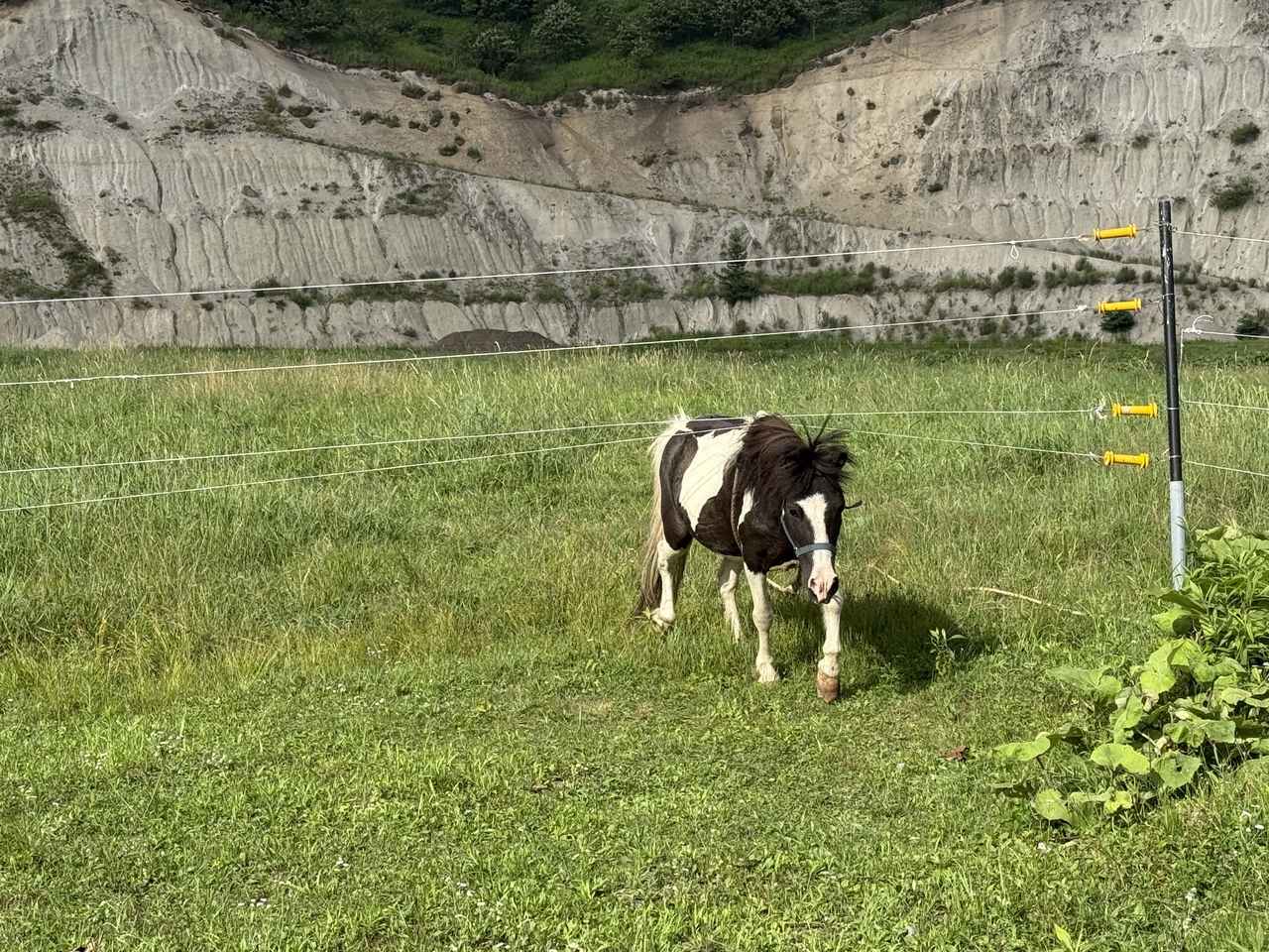 画像25: 北海道ツーリングならではの“怖さ”と“楽しさ”を1日で体験! 襟裳岬に行ってみた【葉月美優のツーリングレポート】
