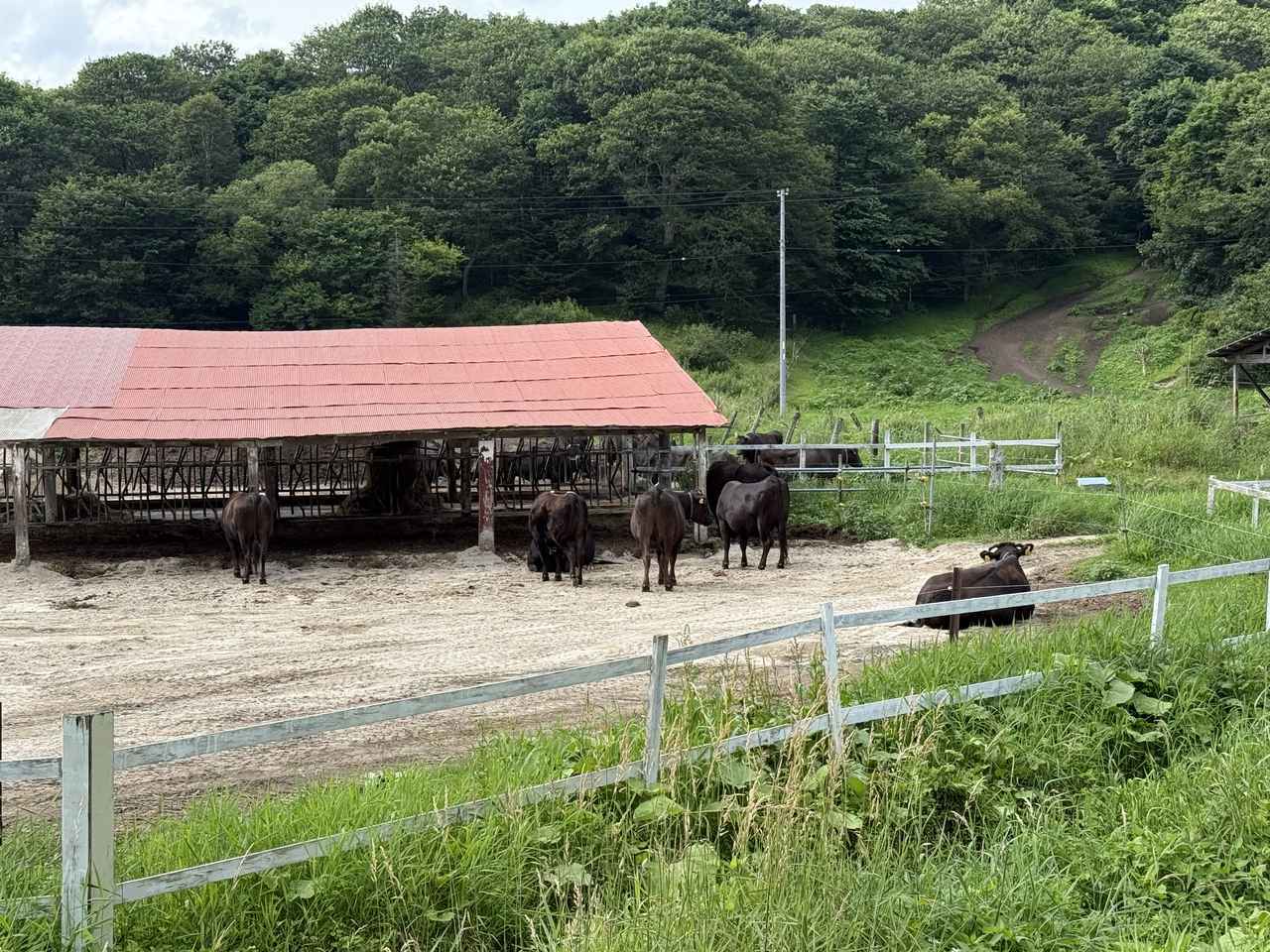 画像24: 北海道ツーリングならではの“怖さ”と“楽しさ”を1日で体験! 襟裳岬に行ってみた【葉月美優のツーリングレポート】