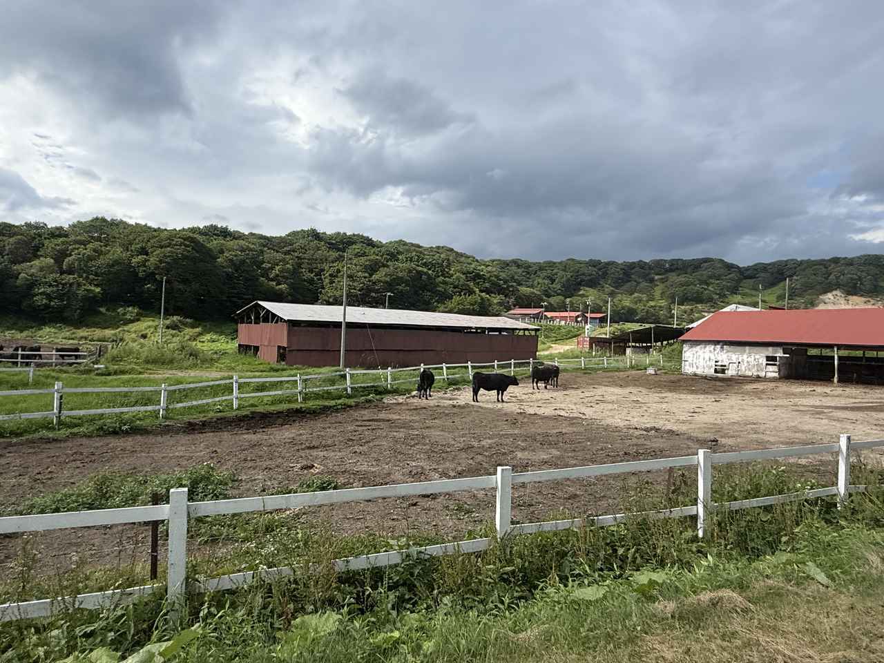 画像23: 北海道ツーリングならではの“怖さ”と“楽しさ”を1日で体験! 襟裳岬に行ってみた【葉月美優のツーリングレポート】