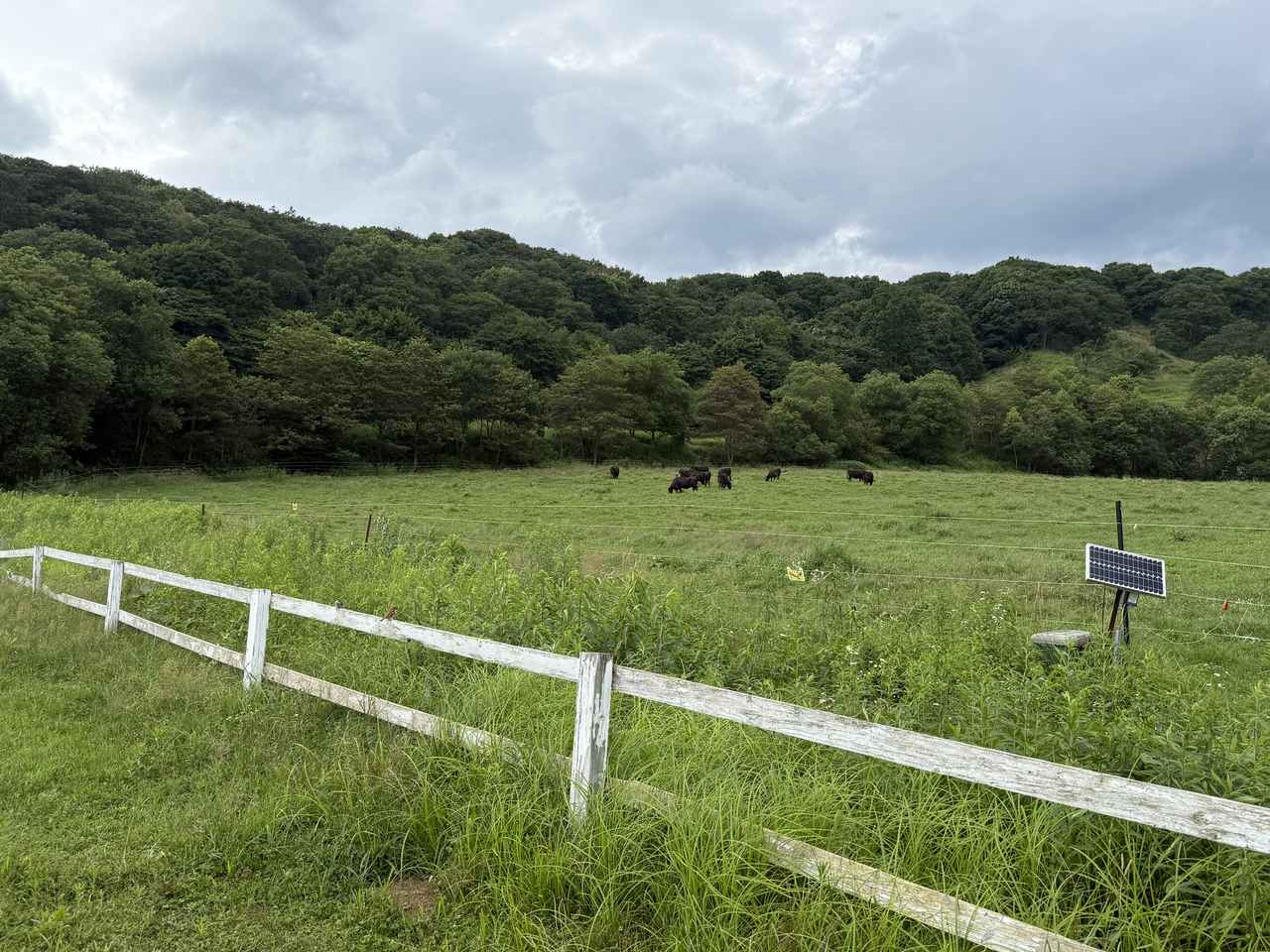 画像31: 北海道ツーリングならではの“怖さ”と“楽しさ”を1日で体験! 襟裳岬に行ってみた【葉月美優のツーリングレポート】